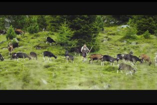 HEIDI - TRAILER ITALIANO [HD]