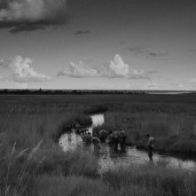 Letters From War: una bella immagine del film