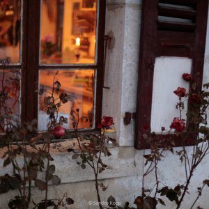 The Seasons in Quincy: Four Portraits of John Berger, un'inquadratura del documentario