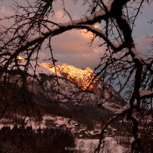 The Seasons in Quincy: Four Portraits of John Berger, una bella immagine del documentario