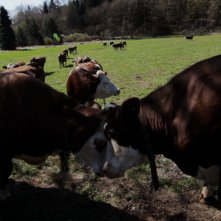 The Seasons in Quincy: Four Portraits of John Berger, un momento del documentario
