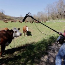 The Seasons in Quincy: Four Portraits of John Berger, un'immagine dal set del documentario