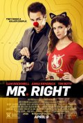 Locandina di Mr. Right