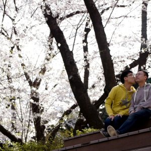 WEEKENDS: una scena del documentario