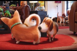 The Secret Life Of Pets – The Big Game Spot