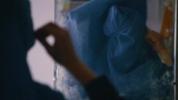 Whiskey Tango Foxtrot - Trailer 2