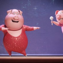 Sing: due simpatici maialini 