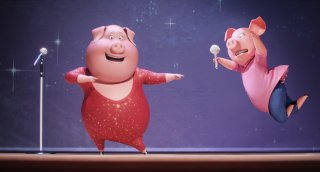 Sing: due simpatici maialini