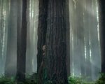 Pete's Dragon: il motion poster del remake del film del 1977