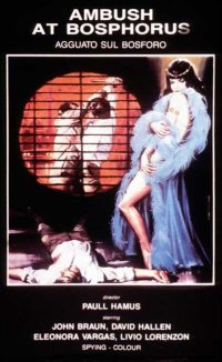 Locandina di Agguato sul Bosforo