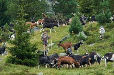 Heidi: Quirin Agrippi in una scena del film