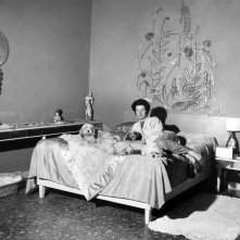 Peggy Guggenheim: Art Addict, Peggy Guggenheim con i suoi cani in un'immagine tratta dal documentario