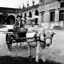 Peggy Guggenheim: Art Addict, Peggy Guggenheim in una bella immagine del documentario