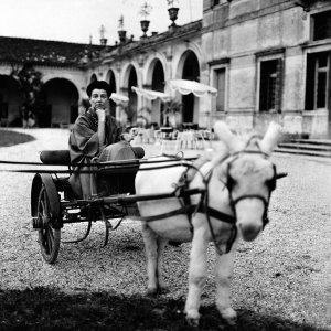 Peggy Guggenheim: Art Addict, Peggy Guggenheim in una bella immagine del documentario