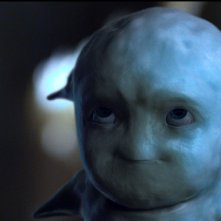 Grotto: un primo piano della creatura Grotto