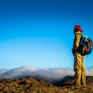 WAX: We Are the X, un momento del film