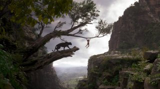 Il libro della giungla: una scena del film