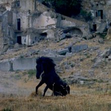 Montedoro: una scena del film con un cavallo