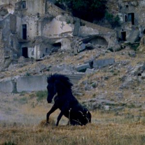 Montedoro: una scena del film con un cavallo