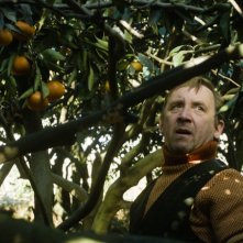 Tangerines - Mandarini: un'immagine tratta dal film