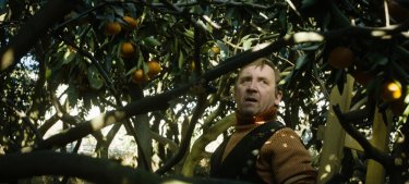 Tangerines - Mandarini: un'immagine tratta dal film