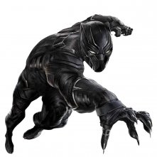 4 Cw Black Panther 4X6