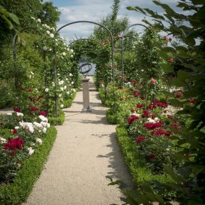 Da Monet a Matisse, l'arte di dipingere il giardino moderno: una scena del documentario