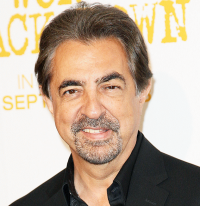 Locandina di Joe Mantegna