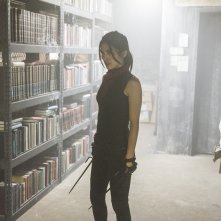 Daredevil 2: l'attrice Elodie Yung interpreta Elektra