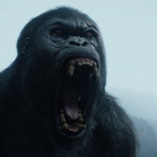 The Legend of Tarzan: un'immagine del film