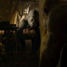 The Legend of Tarzan: una scena del film