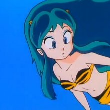 una immagine di Lamu