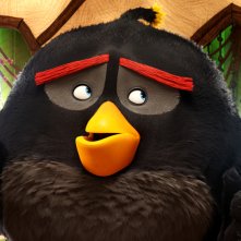 Angry Birds - Il film: un'immagine del film d'animazione