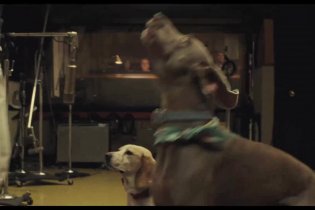 Love & Mercy - Clip esclusiva