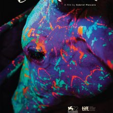 Locandina di Neon Bull