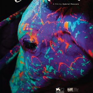 Locandina di Neon Bull