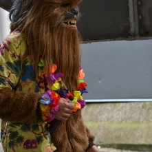 Dsc 0511