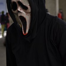 Dsc 0515