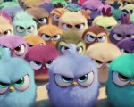 Angry Birds: nel nuovo trailer i pennuti entrano in azione