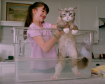 Nine Lives: Kevin Spacey si trasforma in un gatto nel nuovo trailer