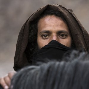 Mimosas: un primo piano del film