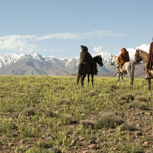 Mimosas: una scena del film