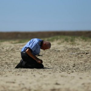 Dogs: Gheorghe Visu in una scena del film