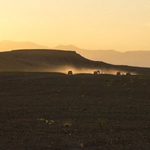 Mimosas: una bella immagine del film