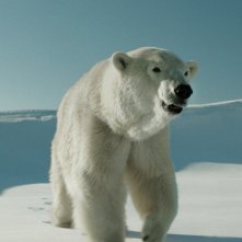 Two Lovers and a Bear: una scena del film