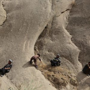 Wolf and Sheep: un'immagine dall'alto del film