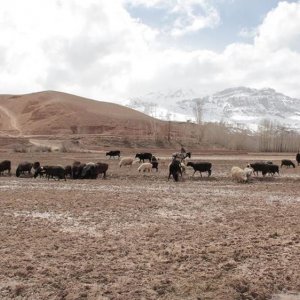 Wolf and Sheep: una scena del film