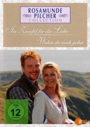 Locandina di Rosamunde Pilcher: Un amore quasi impossibile