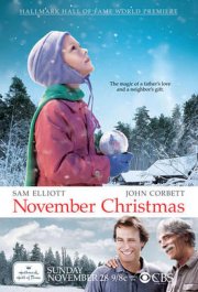 Locandina di Miracolo a novembre