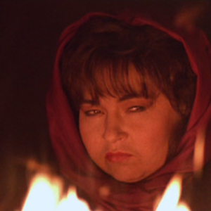 Roseanne Barr in She-Devil